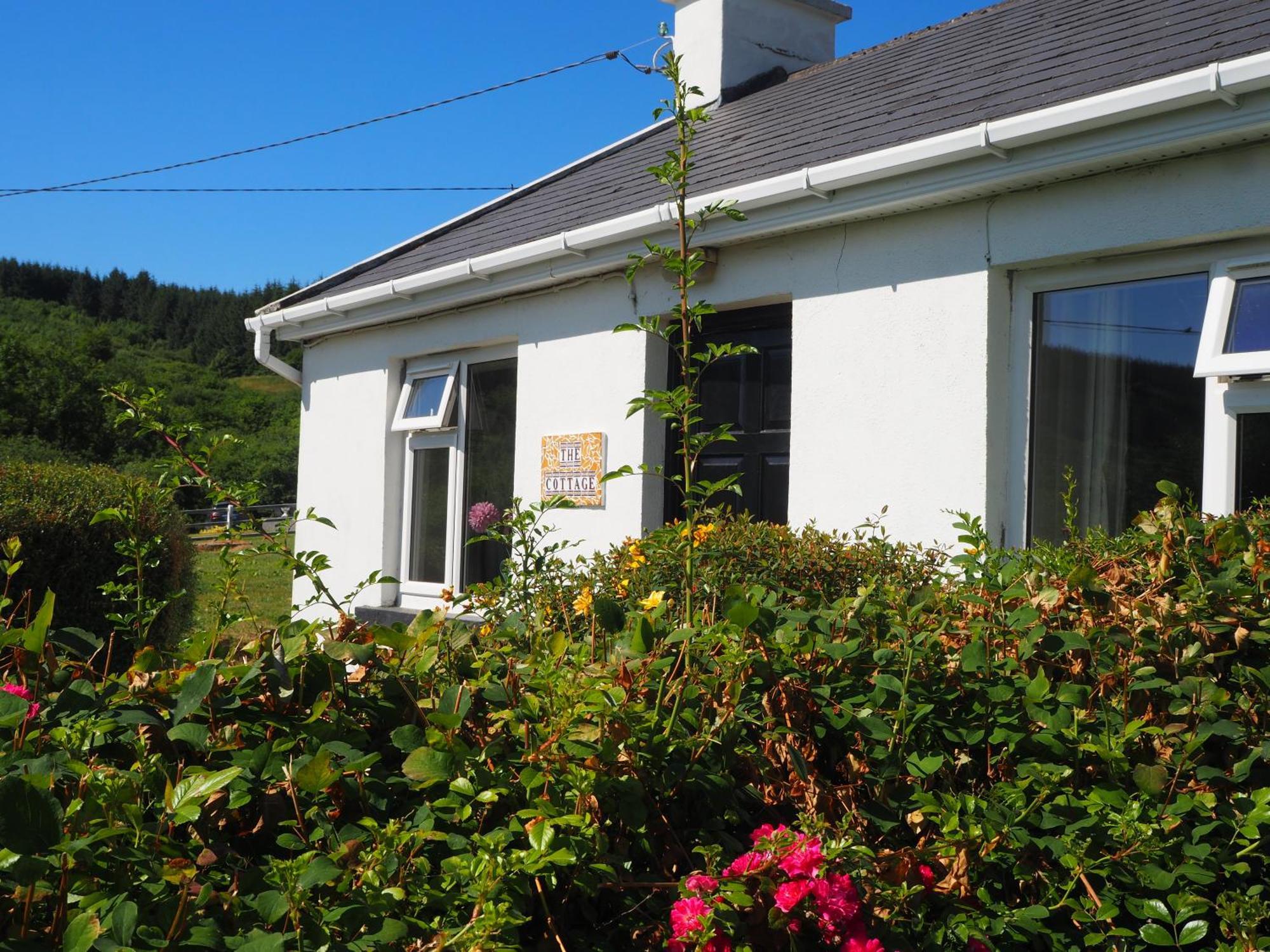 The Cottage @ Burkedale House Corofin  Buitenkant foto