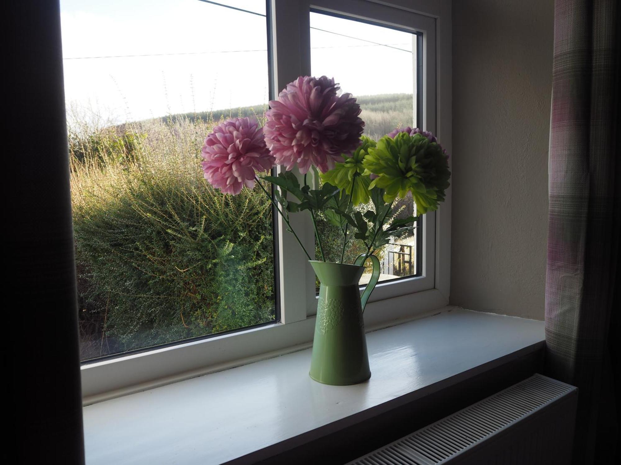 The Cottage @ Burkedale House Corofin  Buitenkant foto