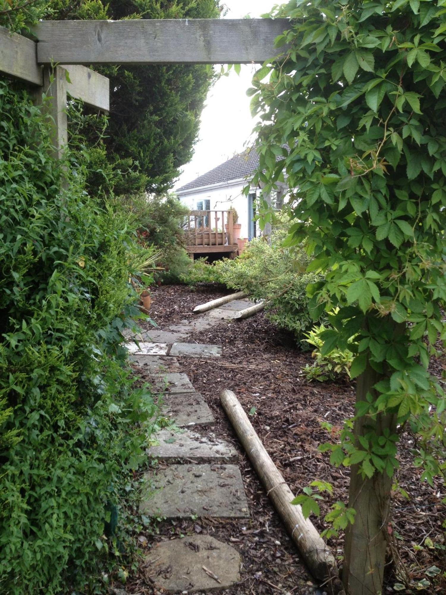 The Cottage @ Burkedale House Corofin  Buitenkant foto